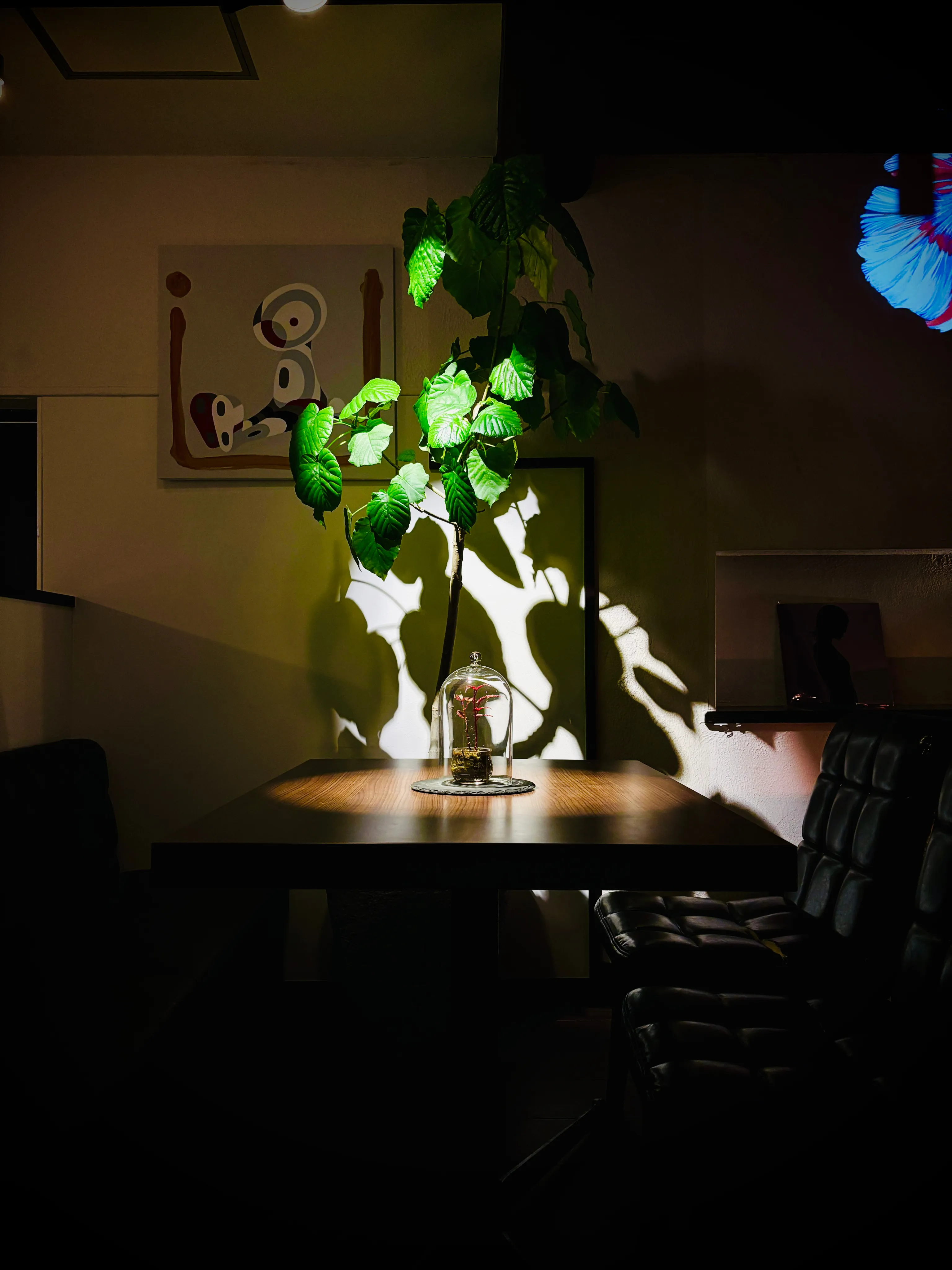 ライトアップされた植物とテーブル席