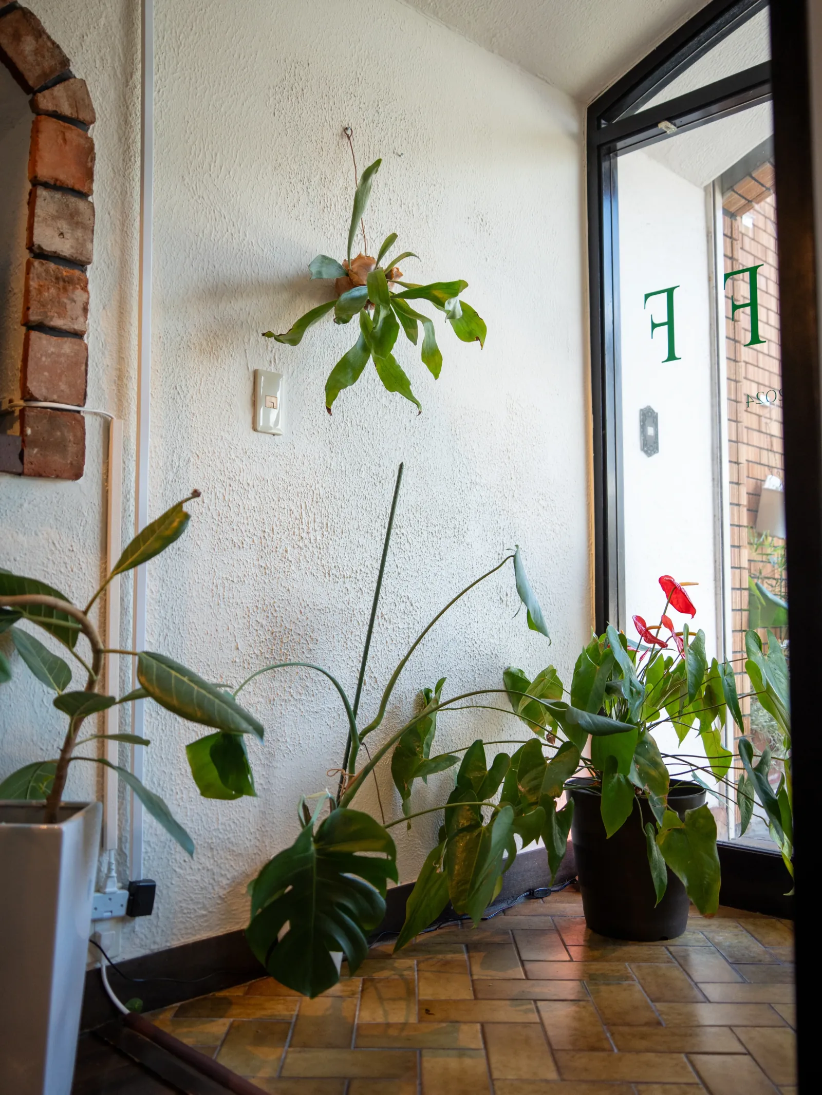 観葉植物が置かれたSHUFFの入口付近