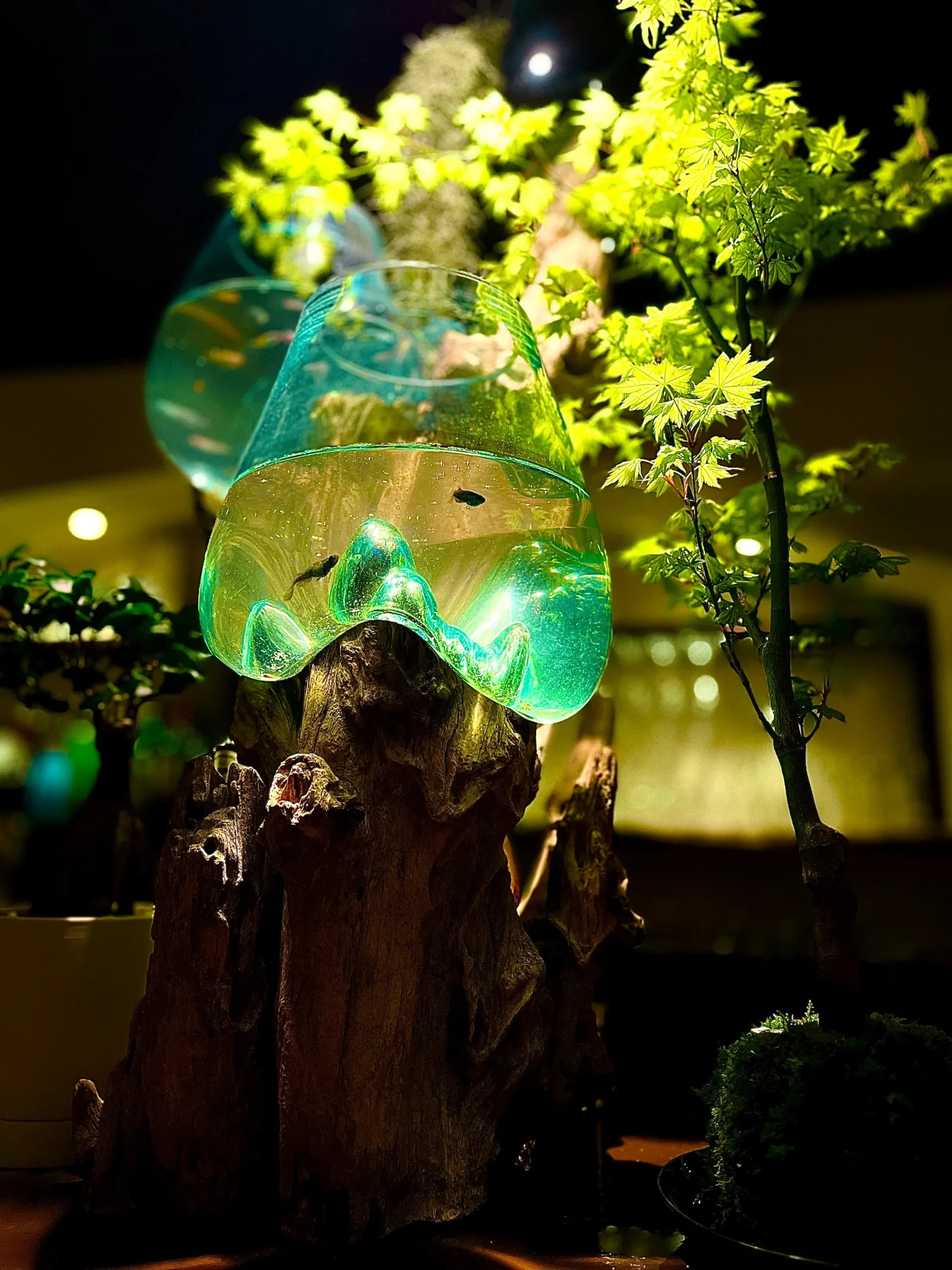 植物と水槽が灯るSHUFFの店内