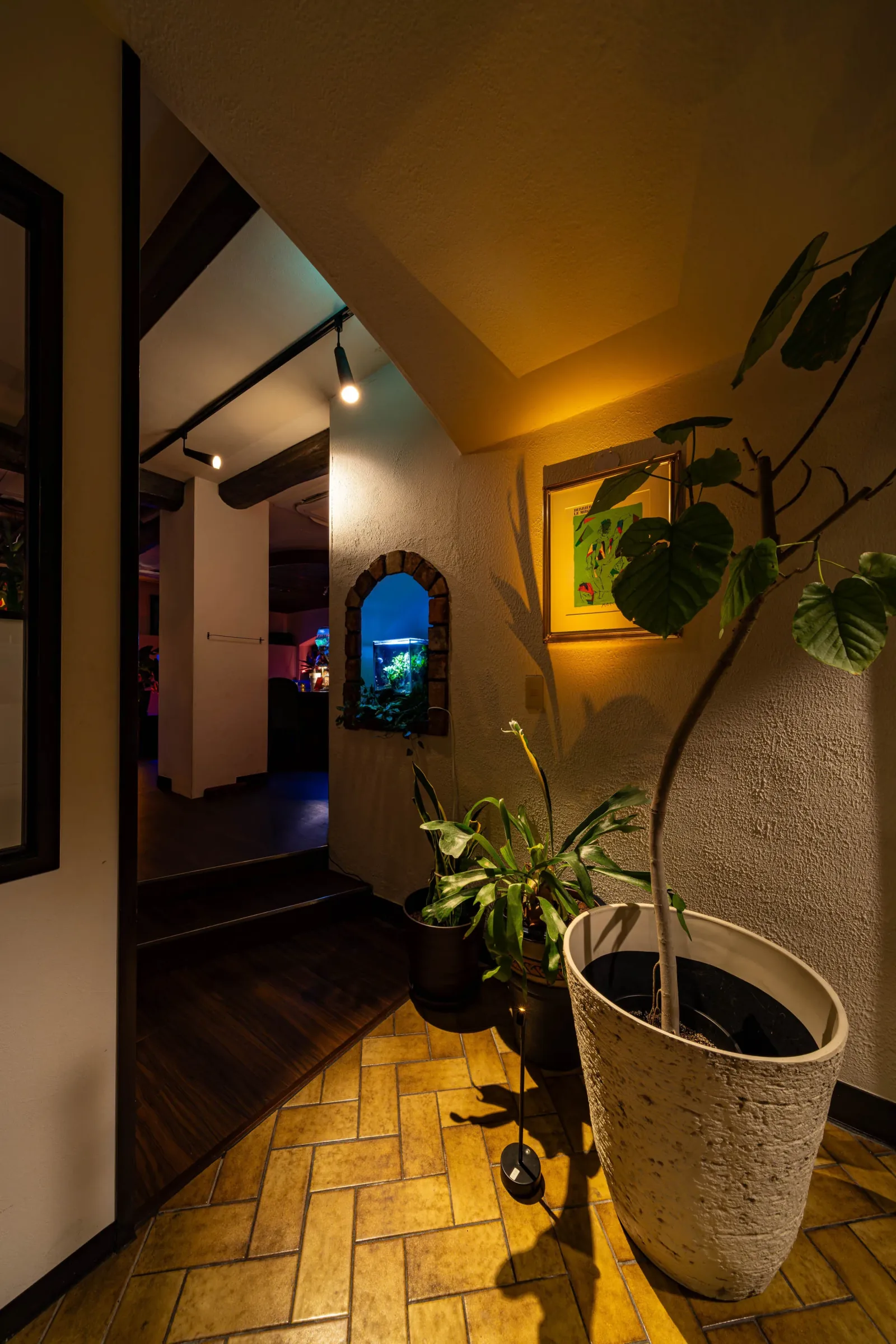 植物と水槽が見えるSHUFFの入口